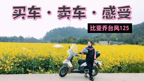 男子隐居深山手搓三百辆车的传奇故事