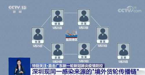 迪士尼打架事件，是否互殴，还需细心调查